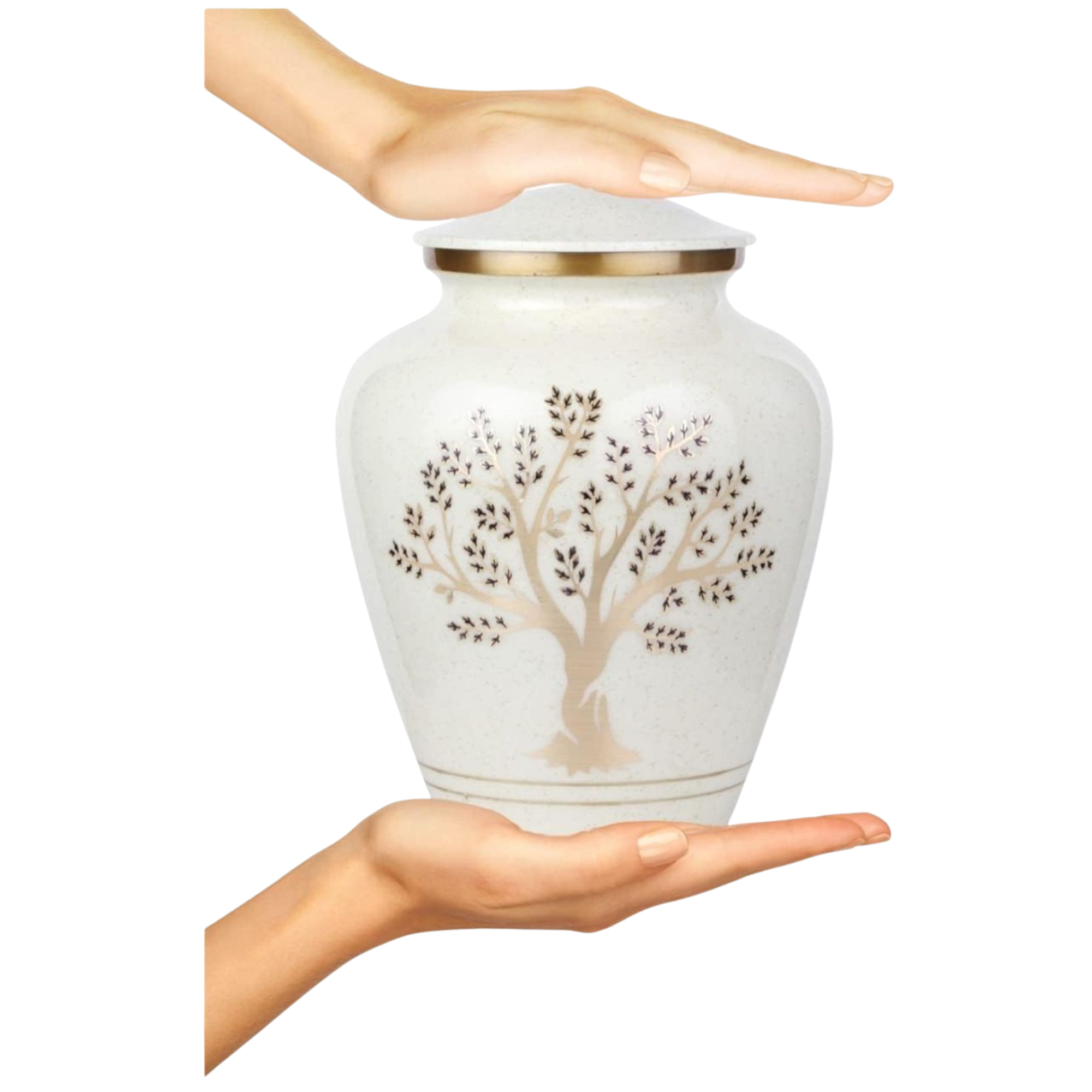 Diseño sin título (1)