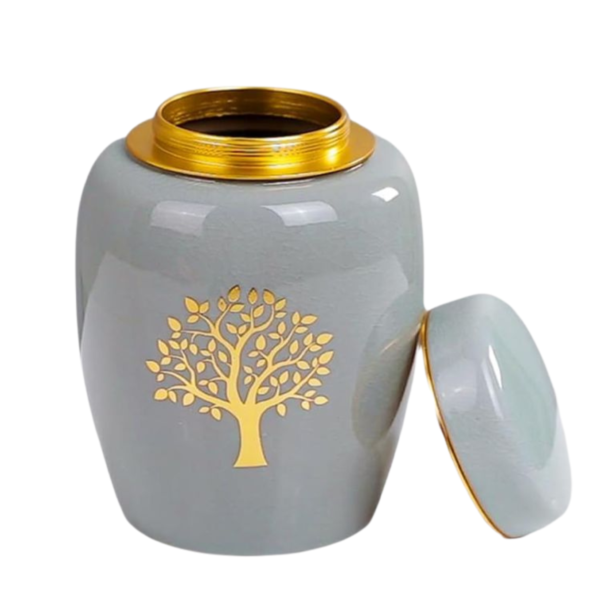 Diseño sin título (11)