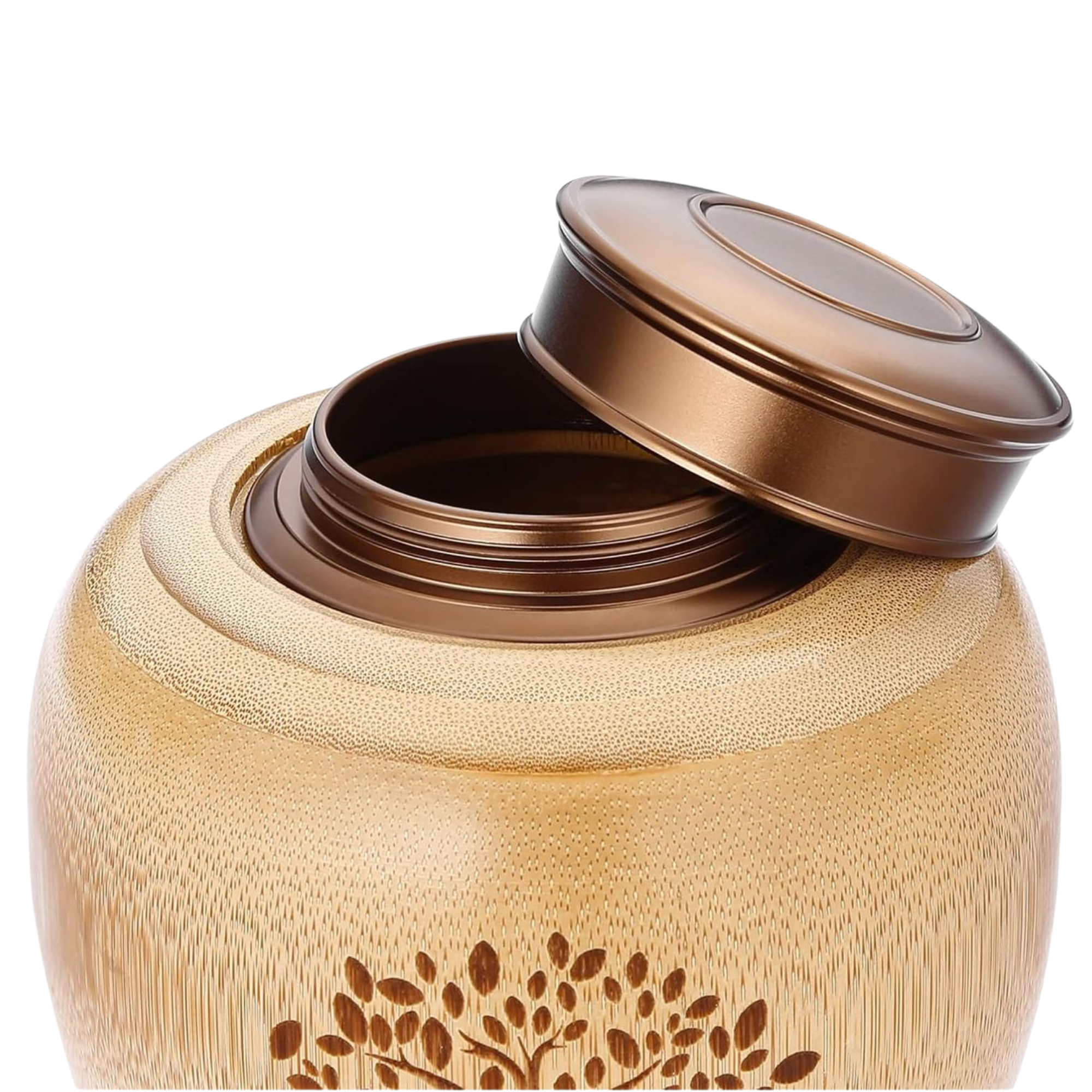 Diseño sin título (2)