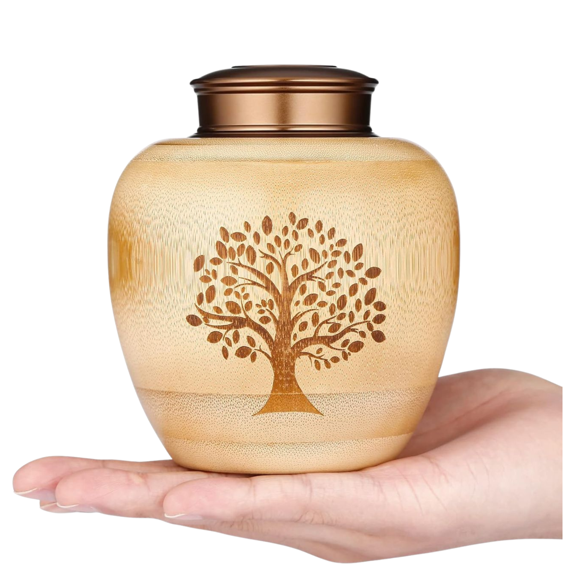 Diseño sin título (3)