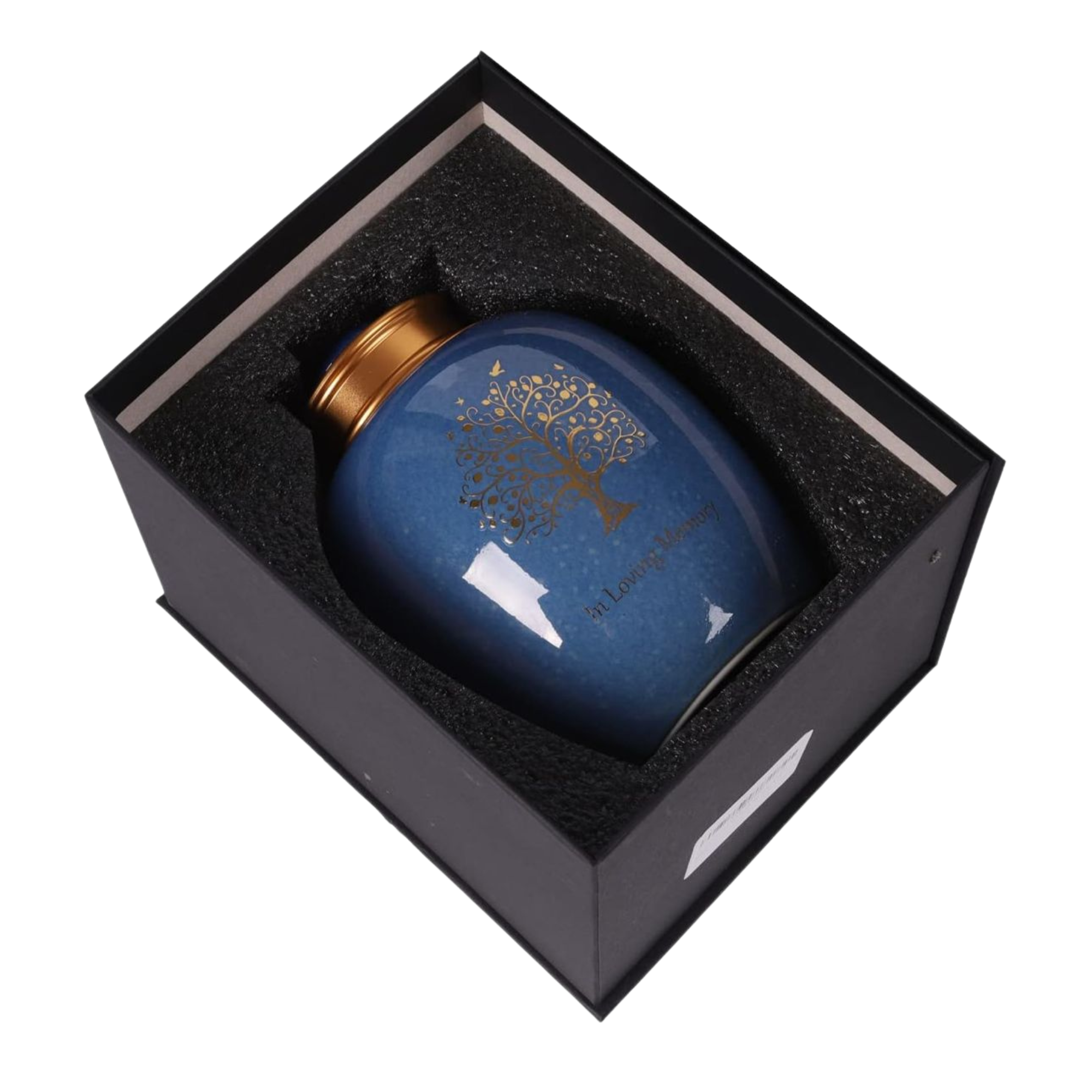 Diseño sin título (3)