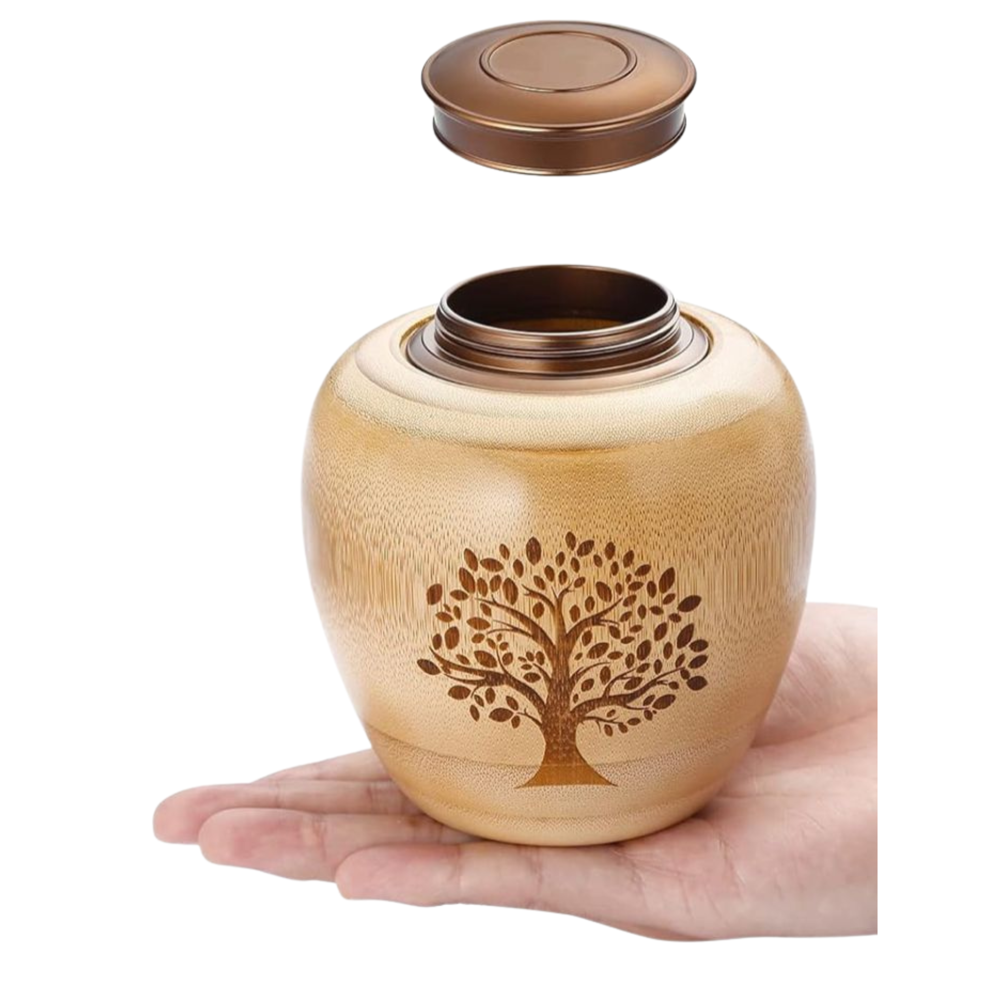 Diseño sin título (4)