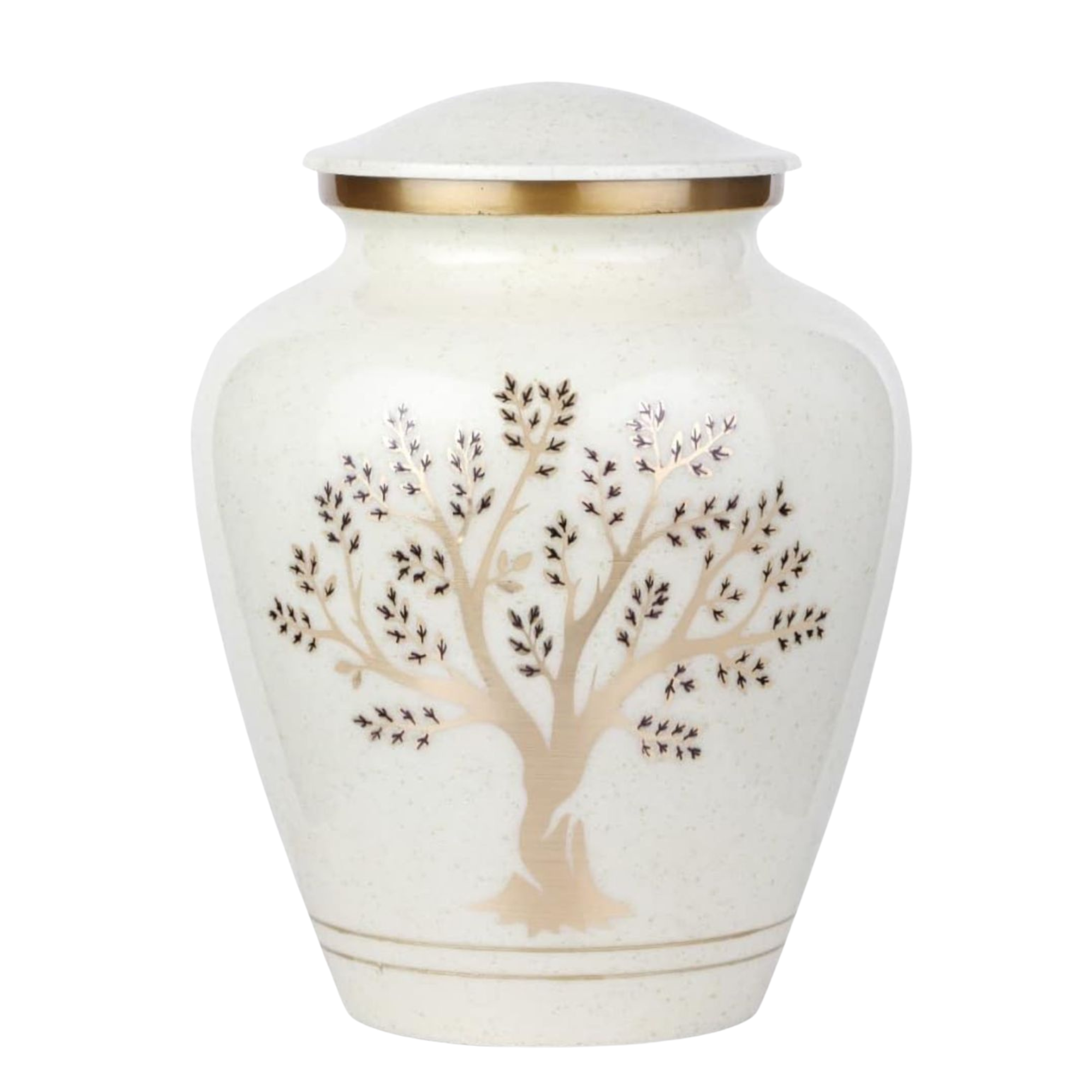 Diseño sin título (5)