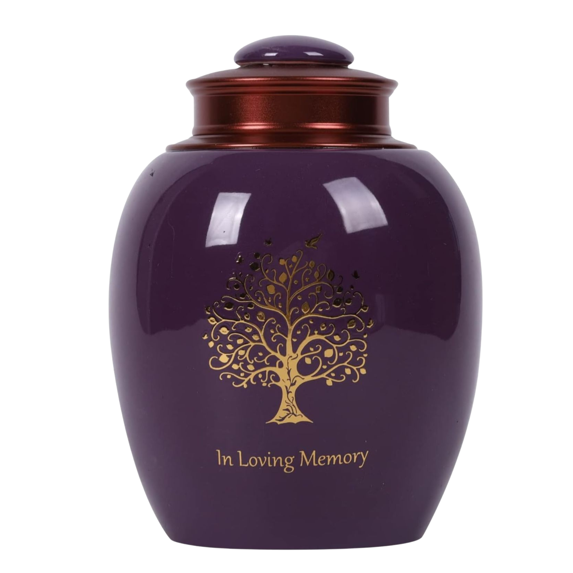 Diseño sin título (5)