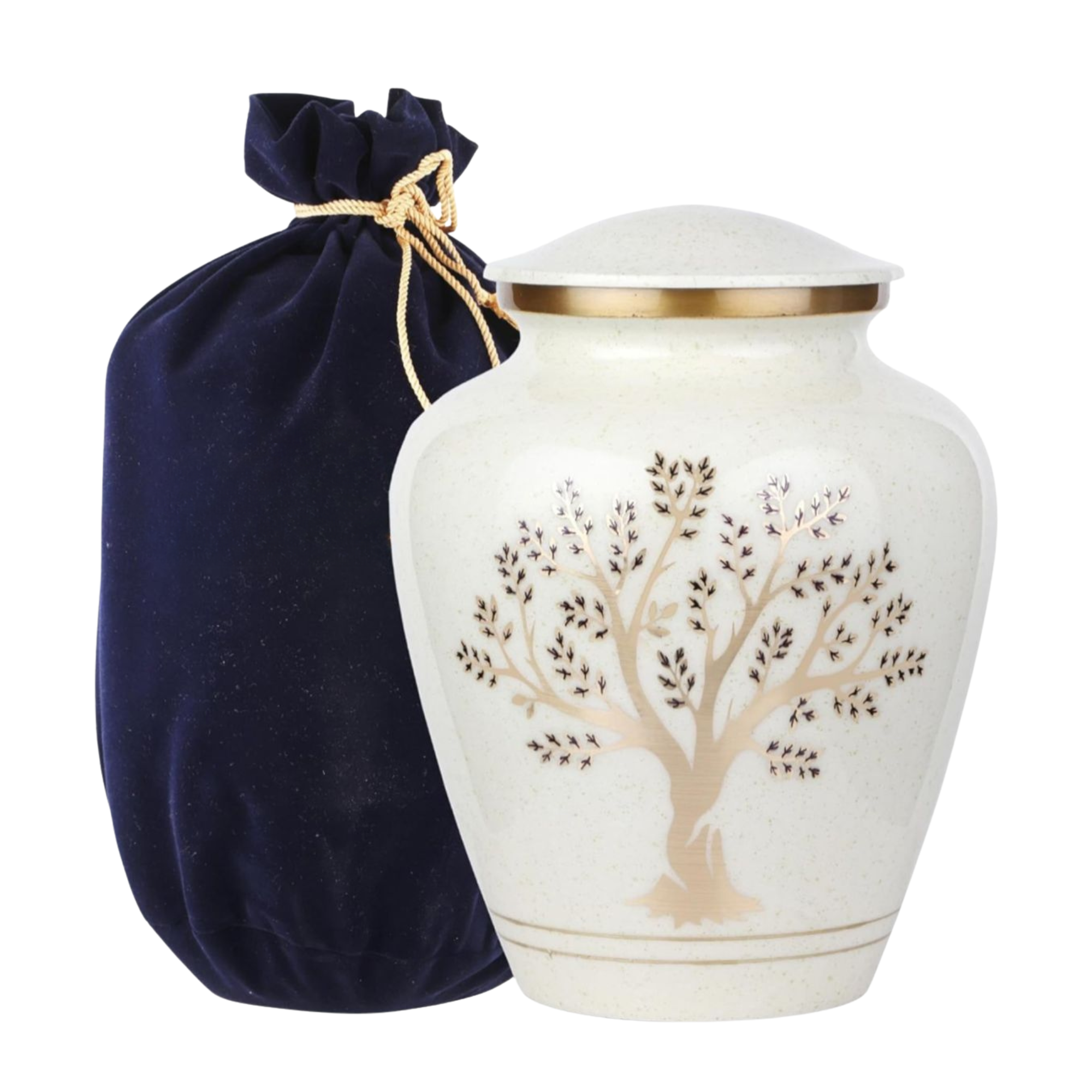 Diseño sin título (6)