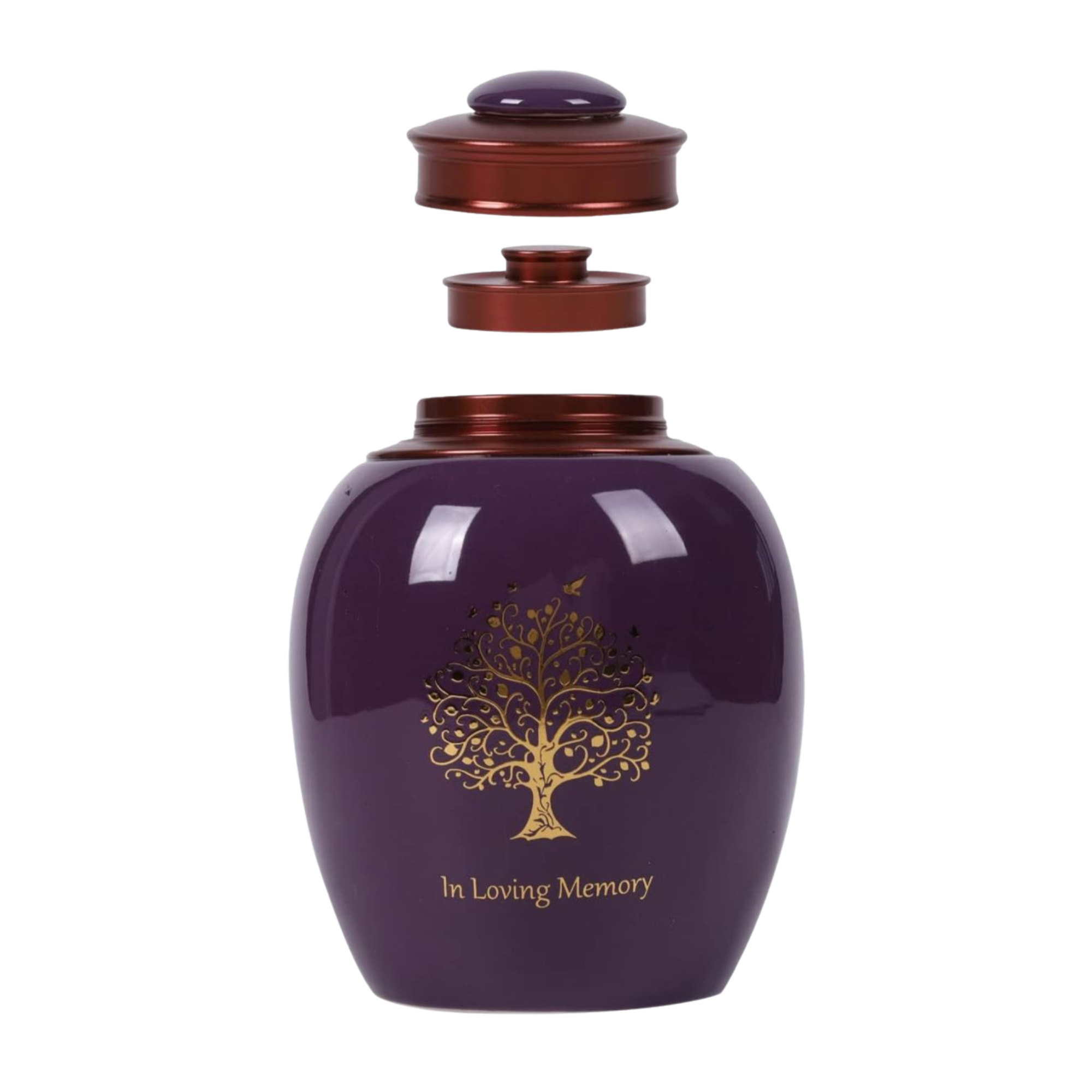 Diseño sin título (6)