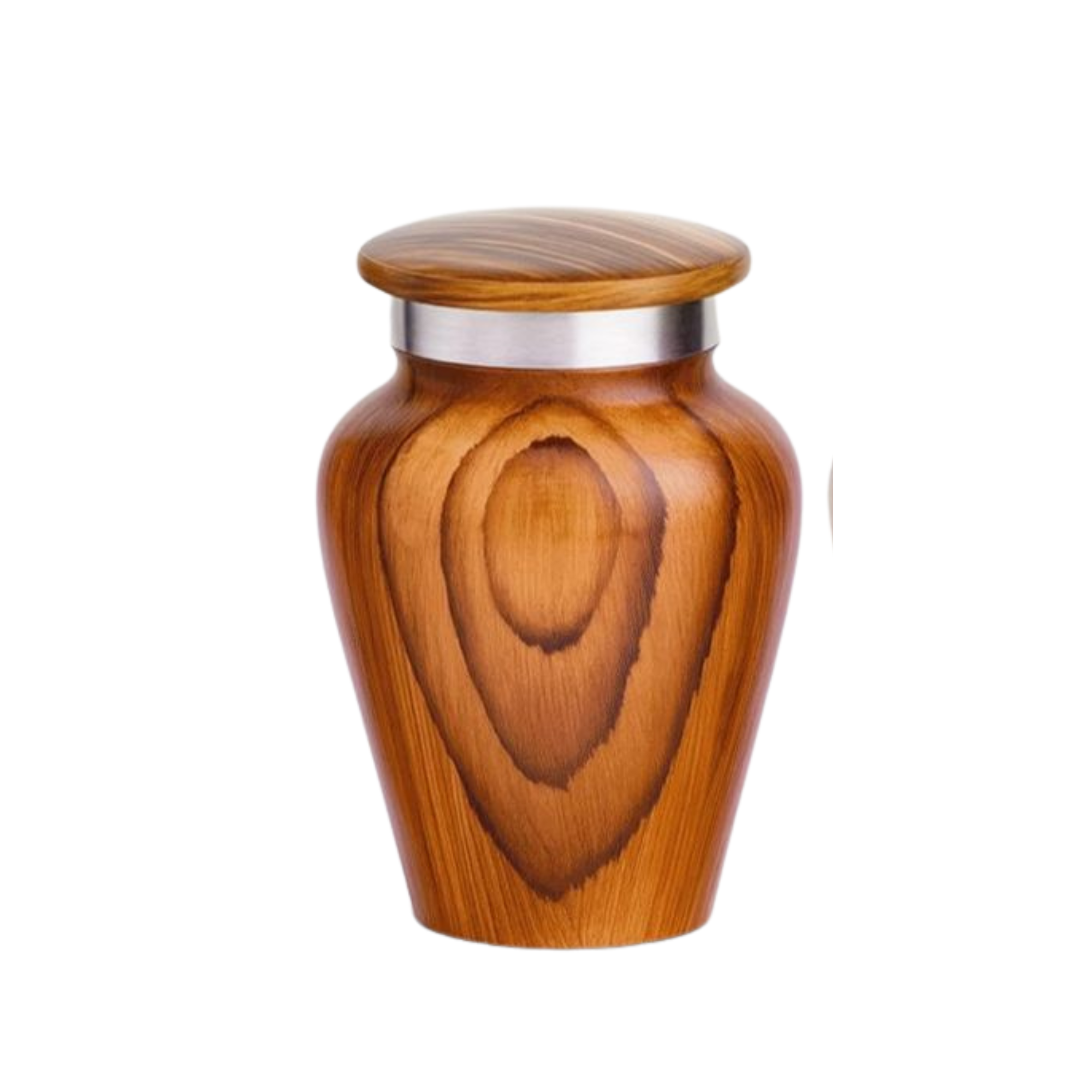 Diseño sin título (7)