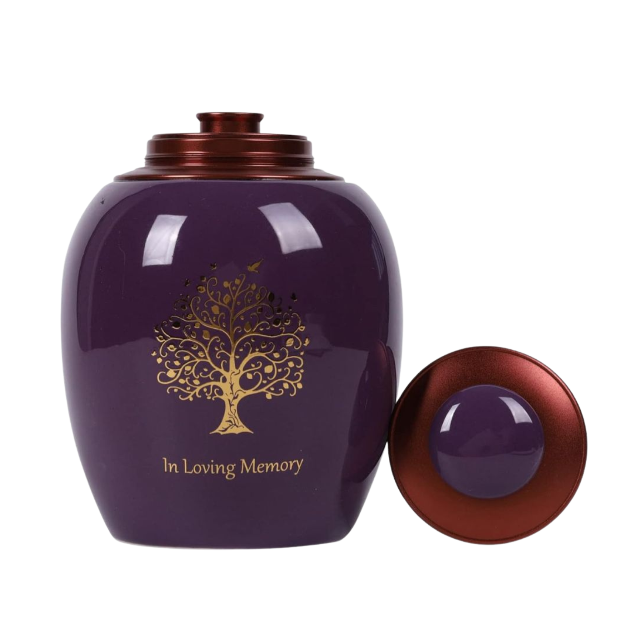 Diseño sin título (7)