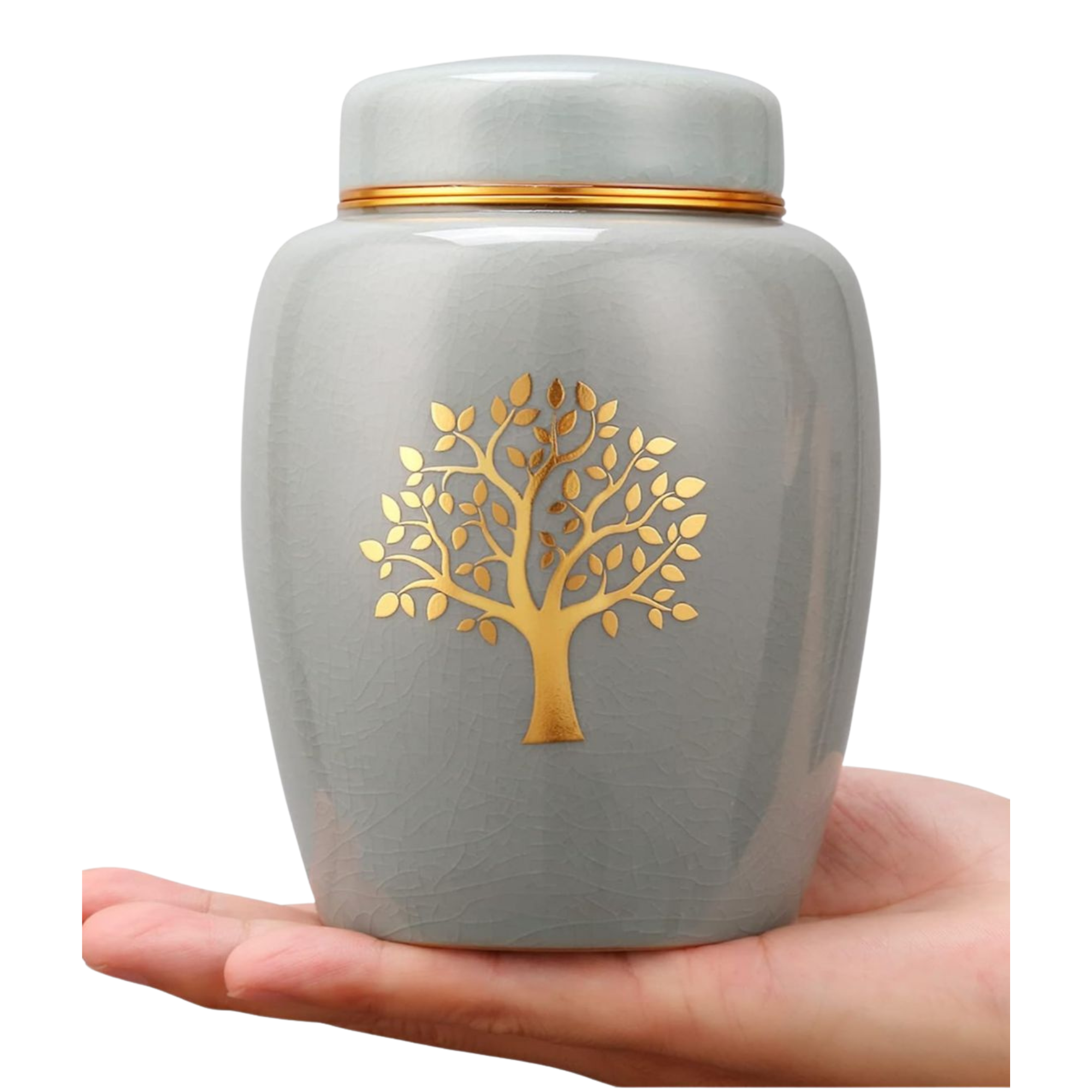 Diseño sin título (9)