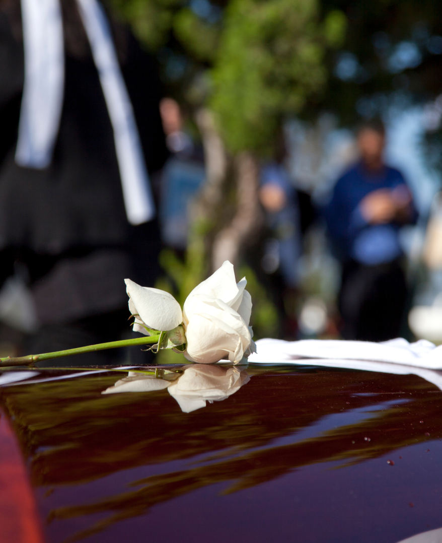 Diseño sin título (37)